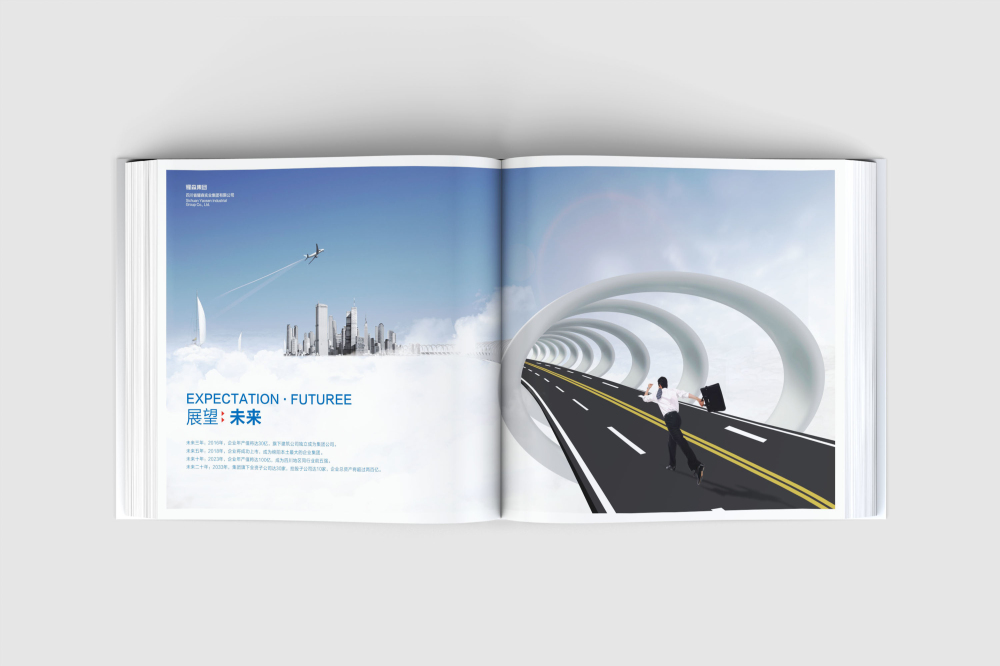 游仙区画册设计